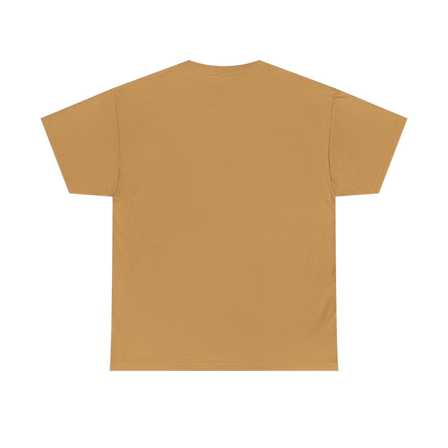 Inspirational Male Heavy Cotton Tee - Motivational Fashion, Casual Wear, Gift for Friends, Positive Vibes, Everyday Comfort