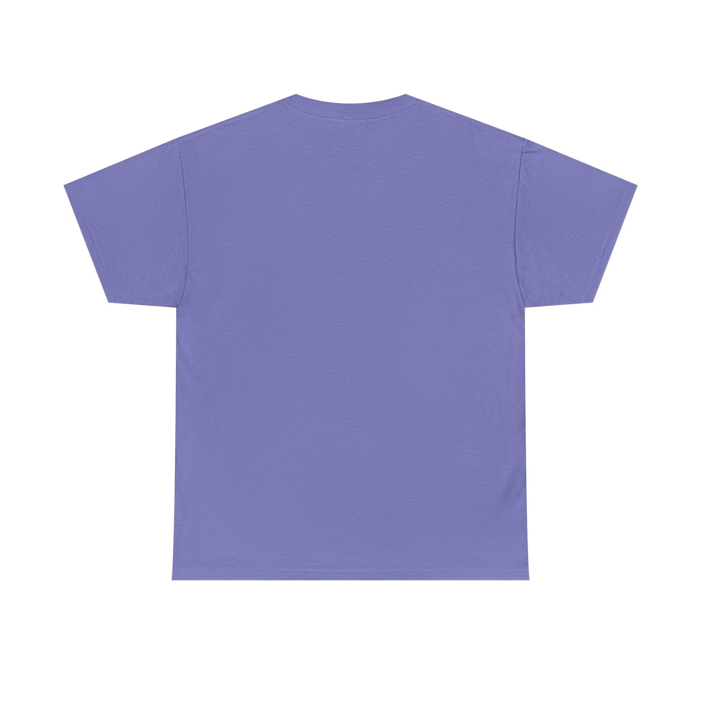 Inspirational Male Heavy Cotton Tee - Motivational Fashion, Casual Wear, Gift for Friends, Positive Vibes, Everyday Comfort