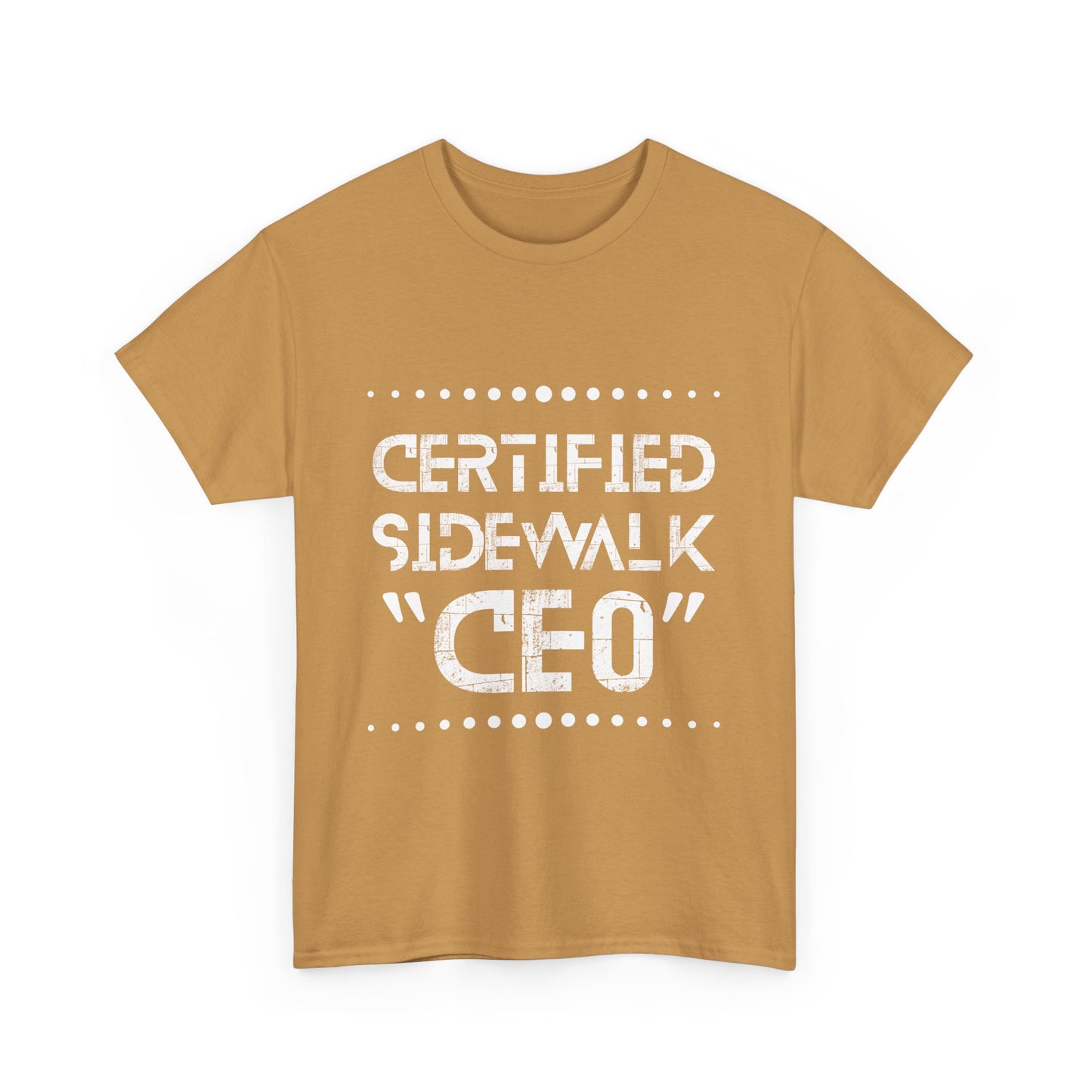 Comfortable Unisex Heavy Cotton Tee – Casual Wear, Gift for Friends, Summer Essential, Graphic T-Shirt, Everyday Tee