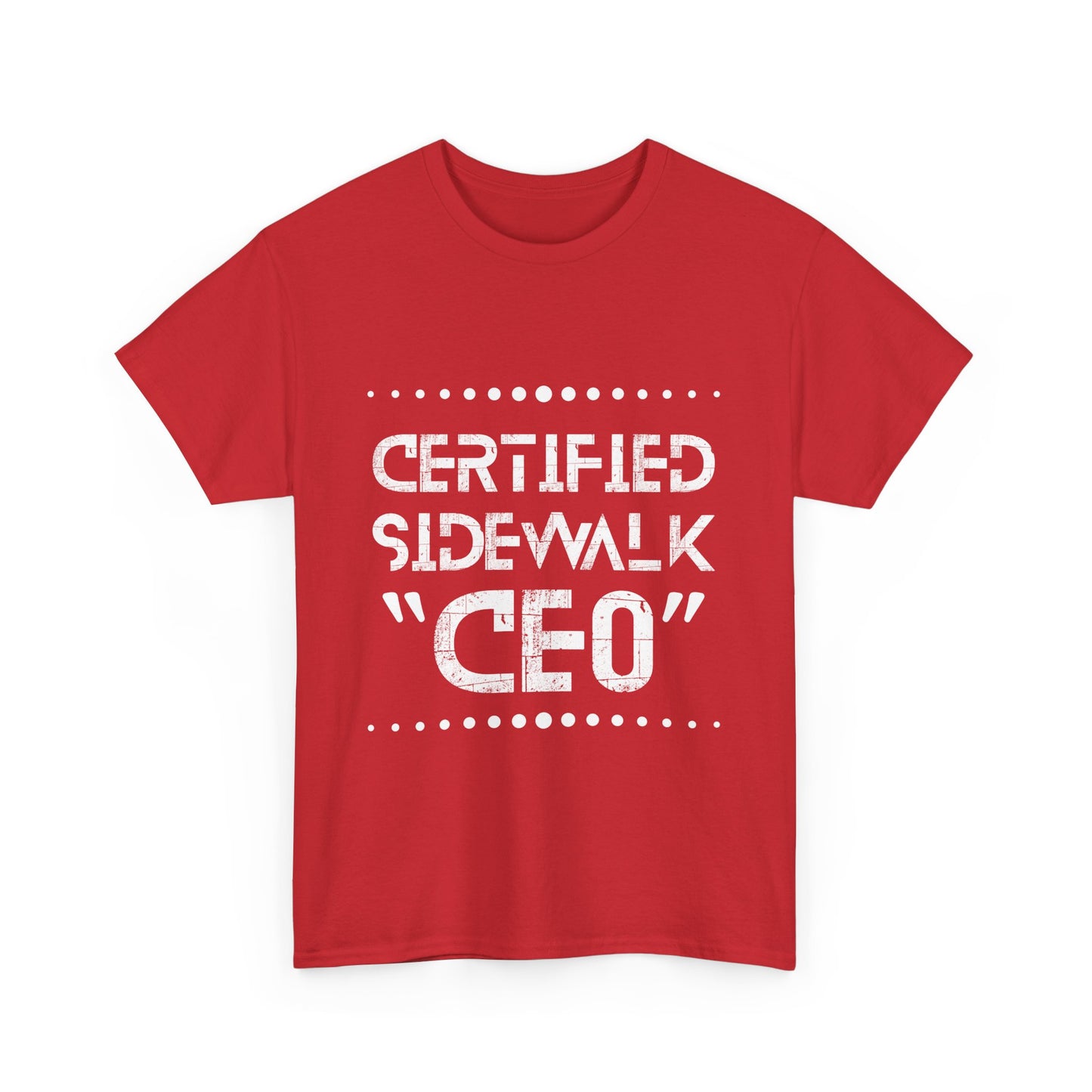 Comfortable Unisex Heavy Cotton Tee – Casual Wear, Gift for Friends, Summer Essential, Graphic T-Shirt, Everyday Tee