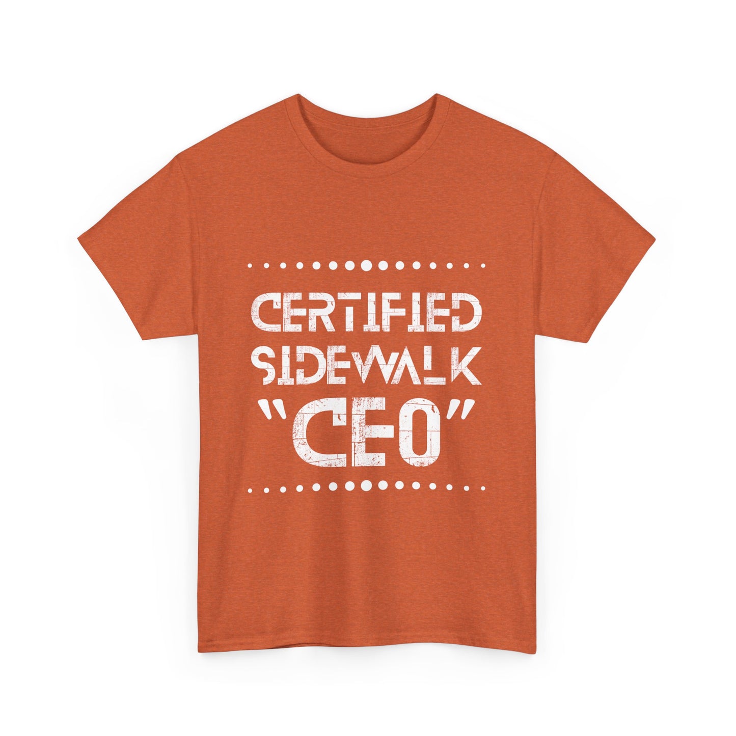 Comfortable Unisex Heavy Cotton Tee – Casual Wear, Gift for Friends, Summer Essential, Graphic T-Shirt, Everyday Tee