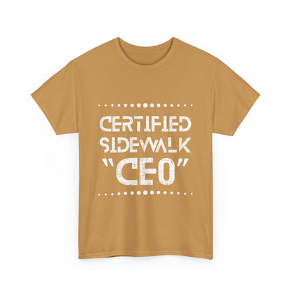 Comfortable Unisex Heavy Cotton Tee – Casual Wear, Gift for Friends, Summer Essential, Graphic T-Shirt, Everyday Tee
