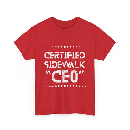 Comfortable Unisex Heavy Cotton Tee – Casual Wear, Gift for Friends, Summer Essential, Graphic T-Shirt, Everyday Tee