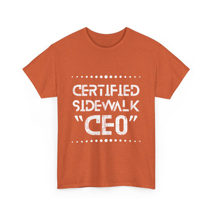 Comfortable Unisex Heavy Cotton Tee – Casual Wear, Gift for Friends, Summer Essential, Graphic T-Shirt, Everyday Tee